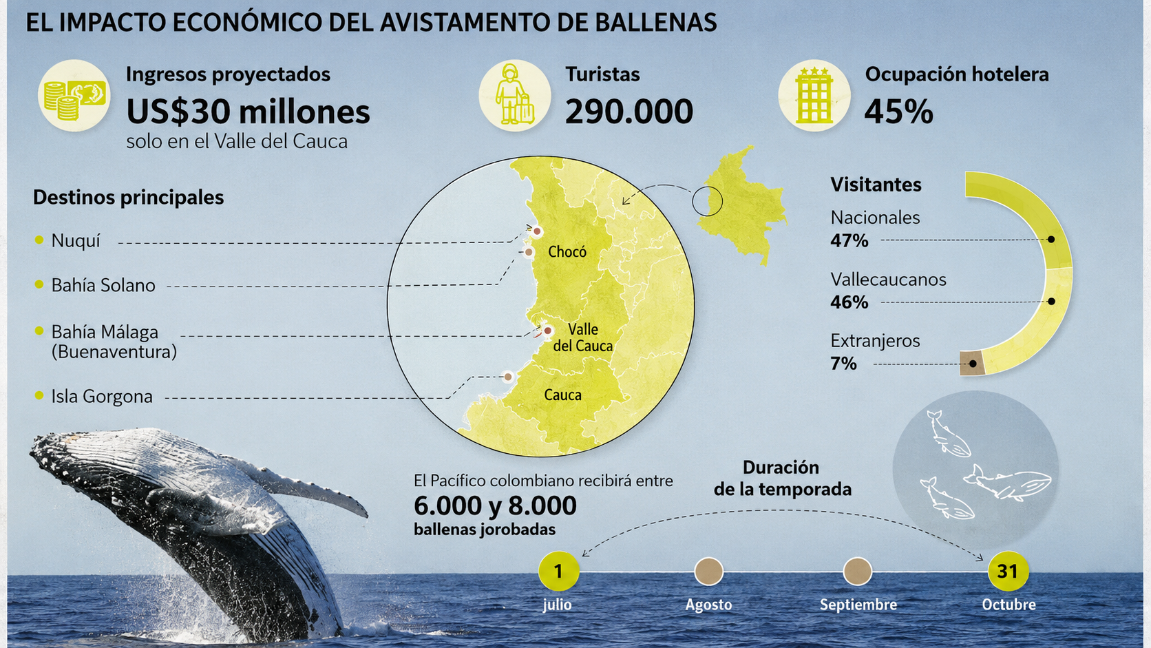 Infografía: El impacto económico del avistamiento de ballenas jorobadas en Colombia 2026 — US$30 millones, 290.000 turistas, 45% ocupación hotelera